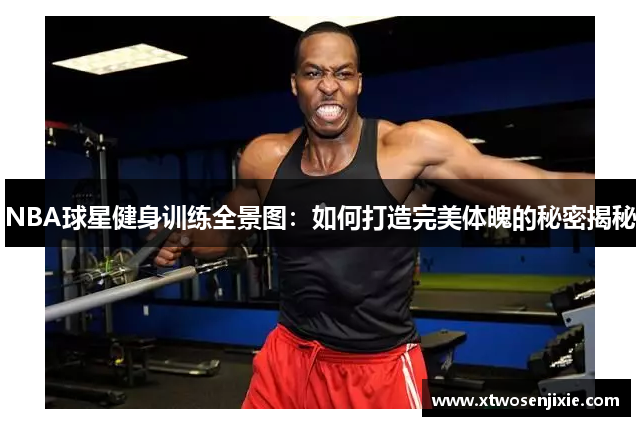 NBA球星健身训练全景图：如何打造完美体魄的秘密揭秘
