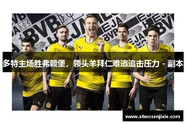 多特主场胜弗赖堡，领头羊拜仁难逃追击压力 - 副本
