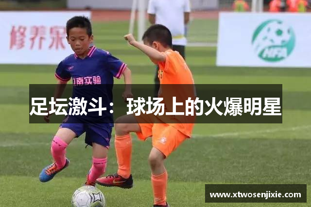 足坛激斗：球场上的火爆明星