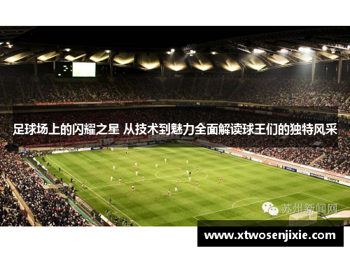 足球场上的闪耀之星 从技术到魅力全面解读球王们的独特风采