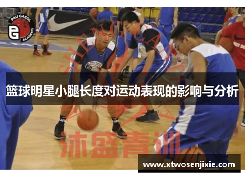 篮球明星小腿长度对运动表现的影响与分析